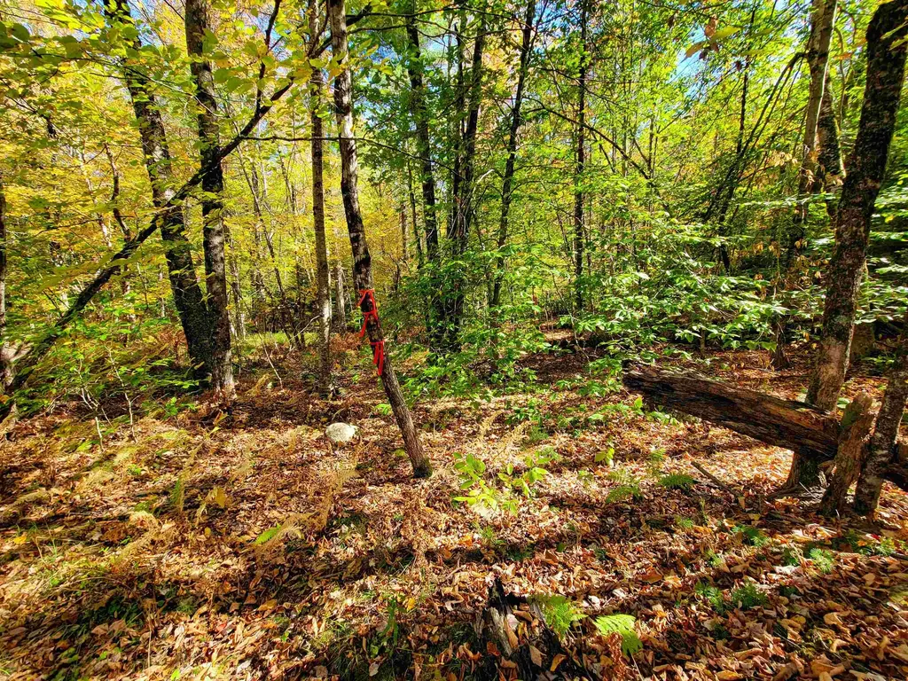 190 Gale Road Gilmanton NH 03237