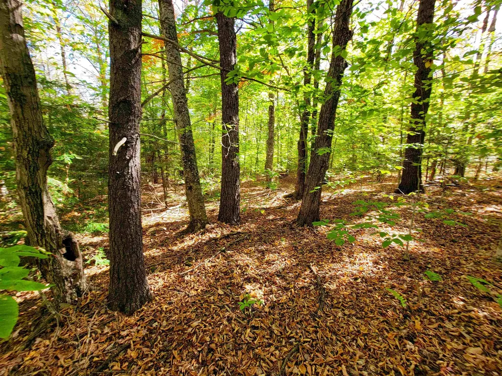190 Gale Road Gilmanton NH 03237
