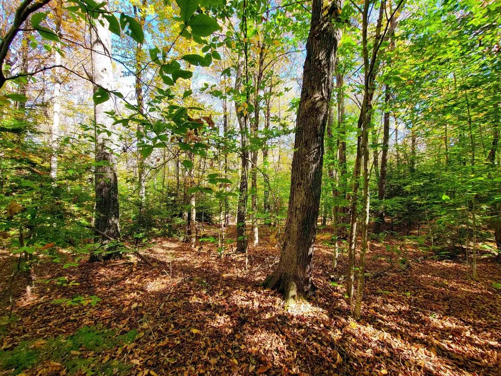 190 Gale Road Gilmanton NH 03237
