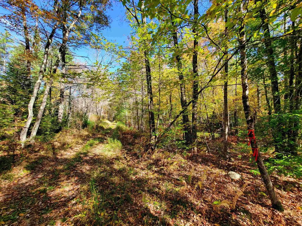 190 Gale Road Gilmanton NH 03237