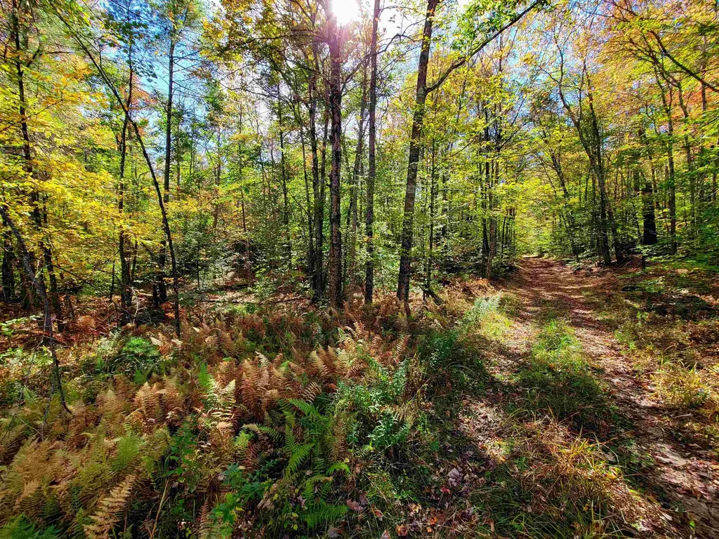 190 Gale Road Gilmanton NH 03237