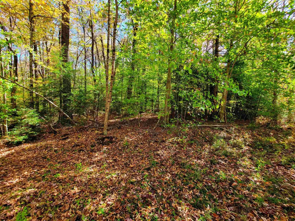 190 Gale Road Gilmanton NH 03237