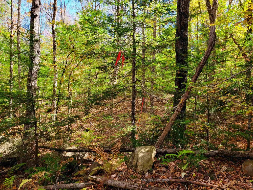 190 Gale Road Gilmanton NH 03237