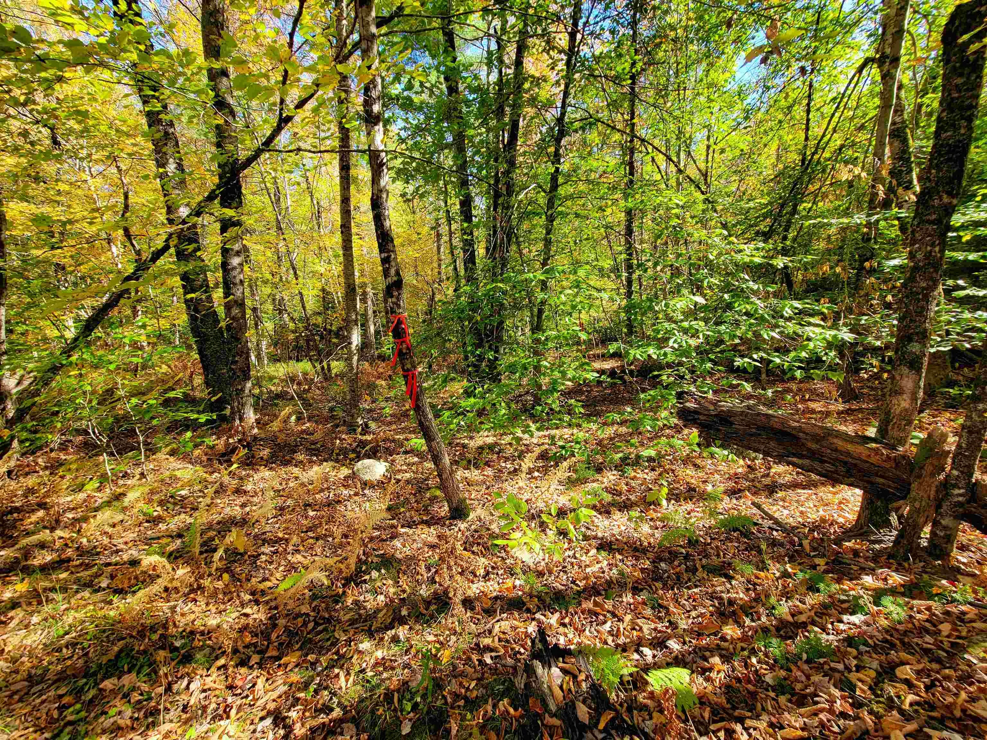 190 Gale Road Gilmanton NH 03237