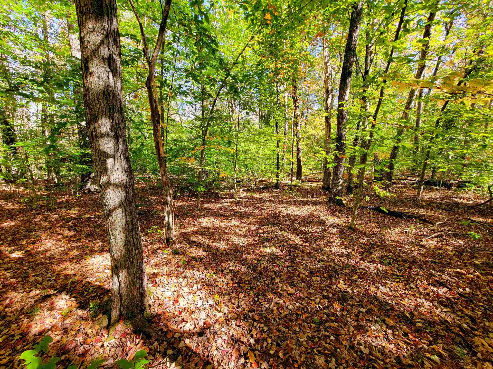 190 Gale Road Gilmanton NH 03237