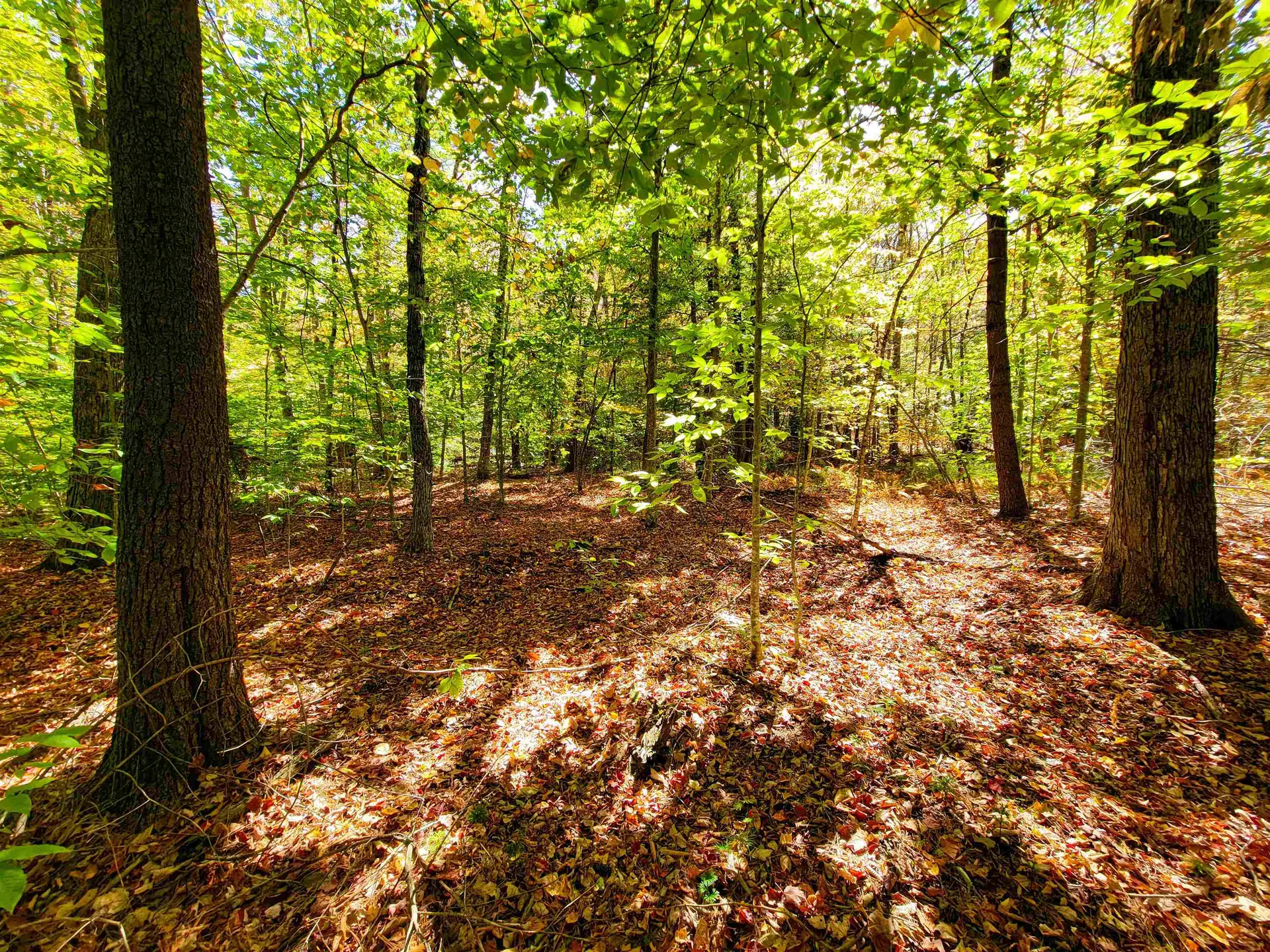 190 Gale Road Gilmanton NH 03237
