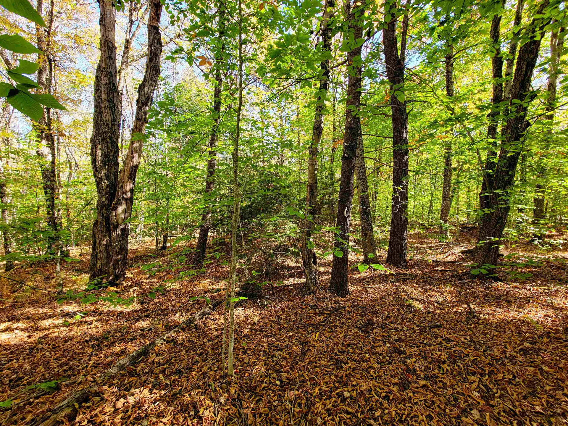190 Gale Road Gilmanton NH 03237