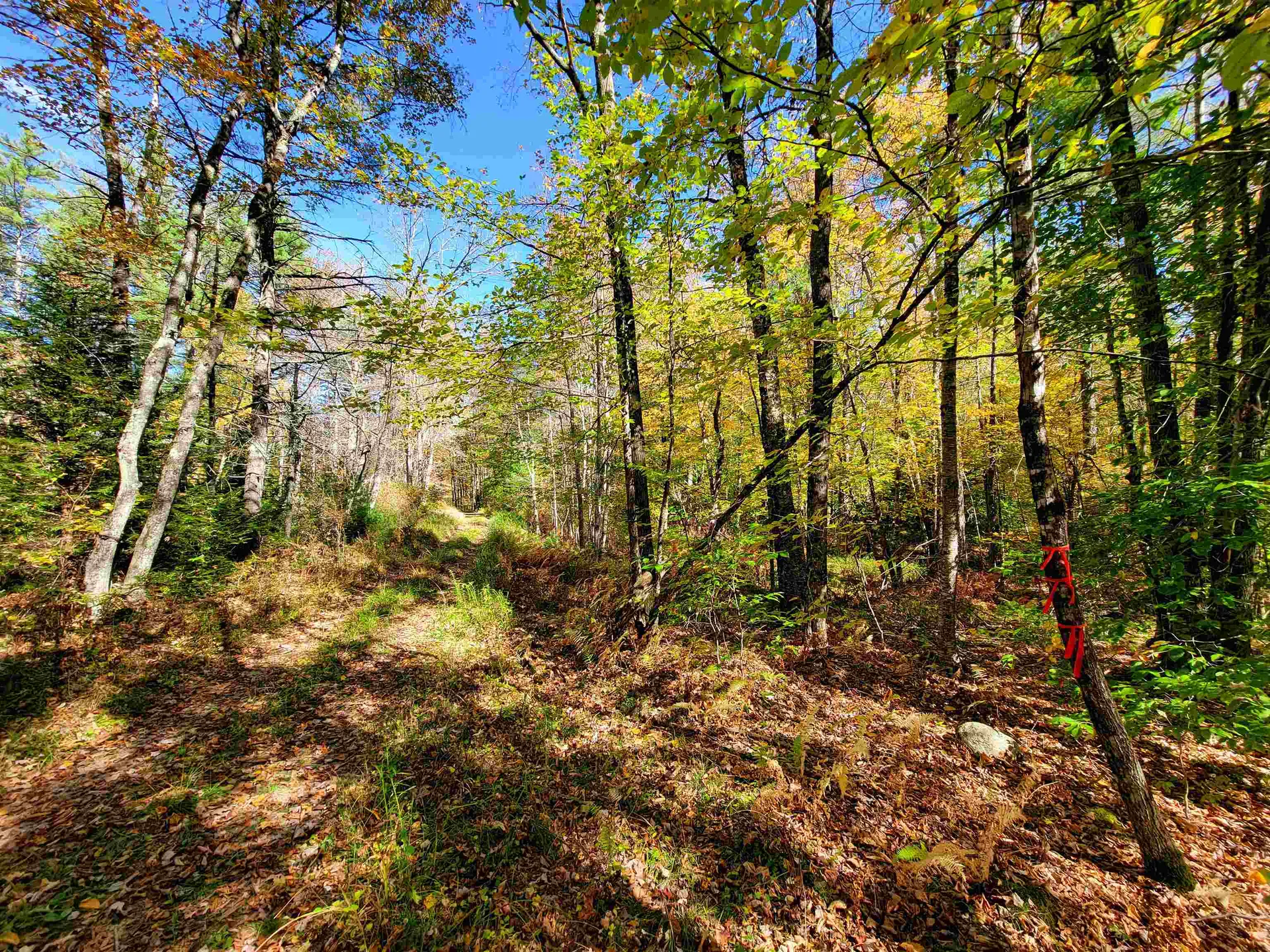 190 Gale Road Gilmanton NH 03237