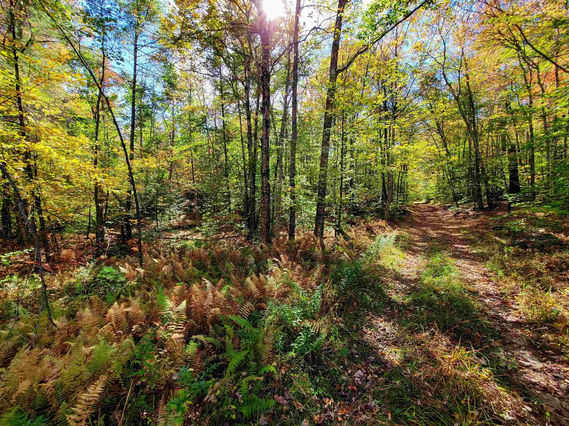 190 Gale Road Gilmanton NH 03237