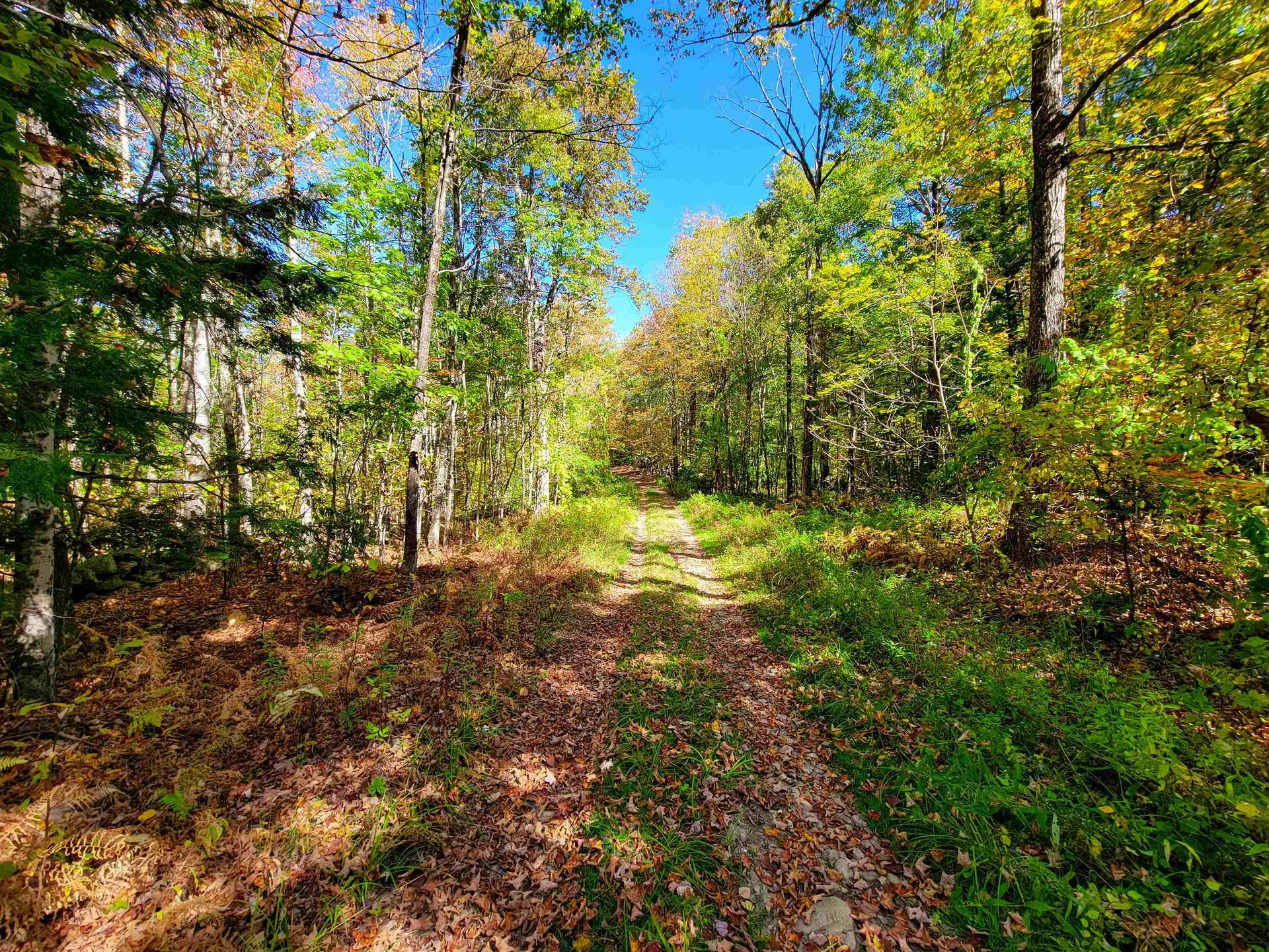 190 Gale Road Gilmanton NH 03237