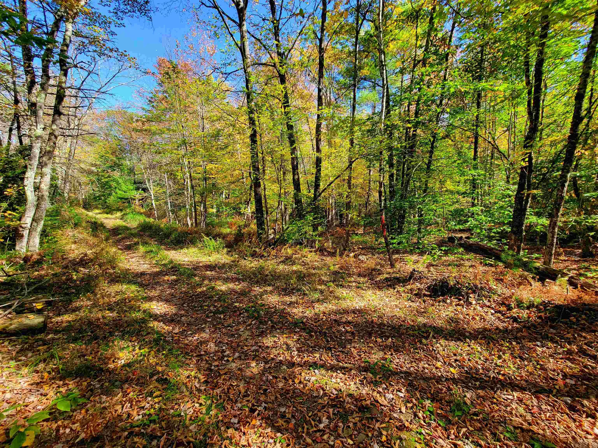190 Gale Road Gilmanton NH 03237