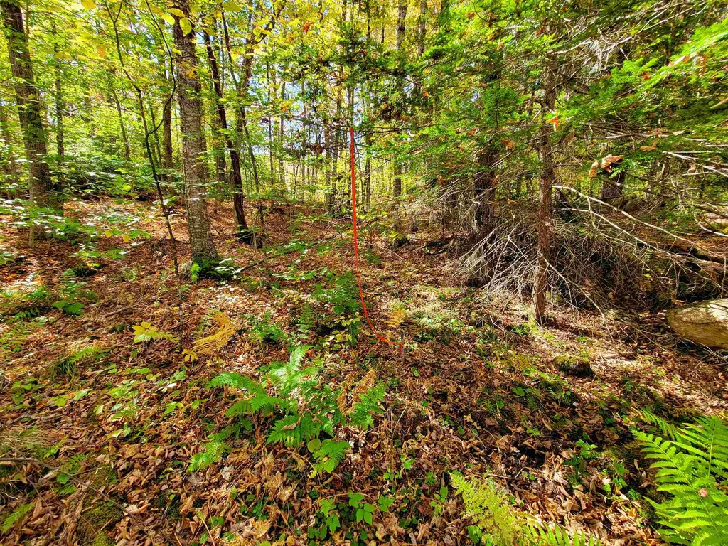 200 Gale Road Gilmanton NH 03237
