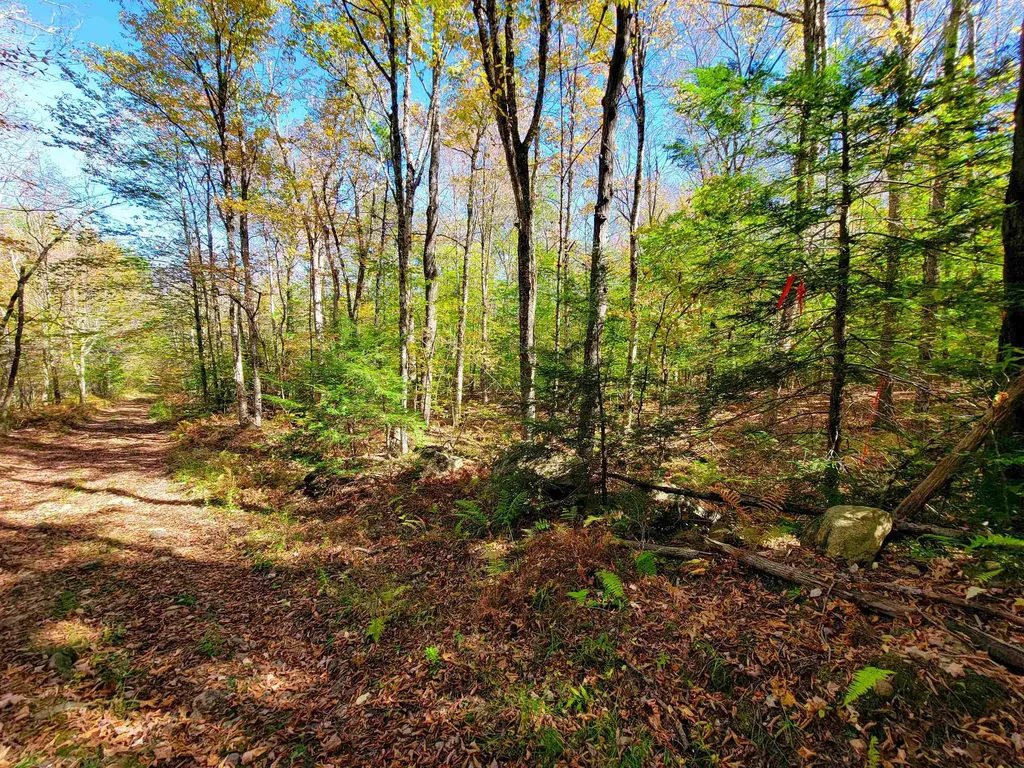 200 Gale Road Gilmanton NH 03237