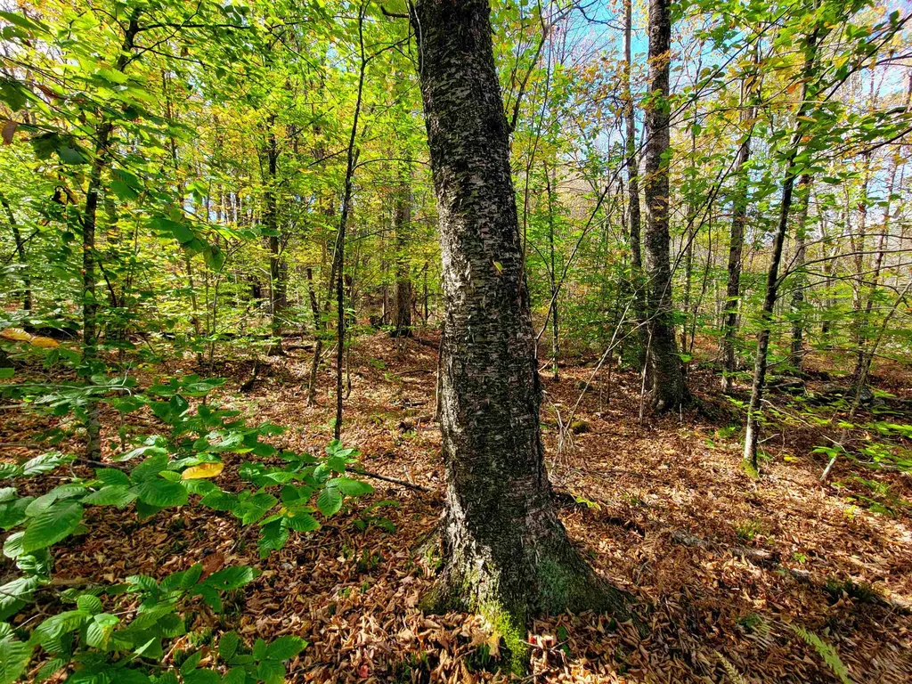 200 Gale Road Gilmanton NH 03237