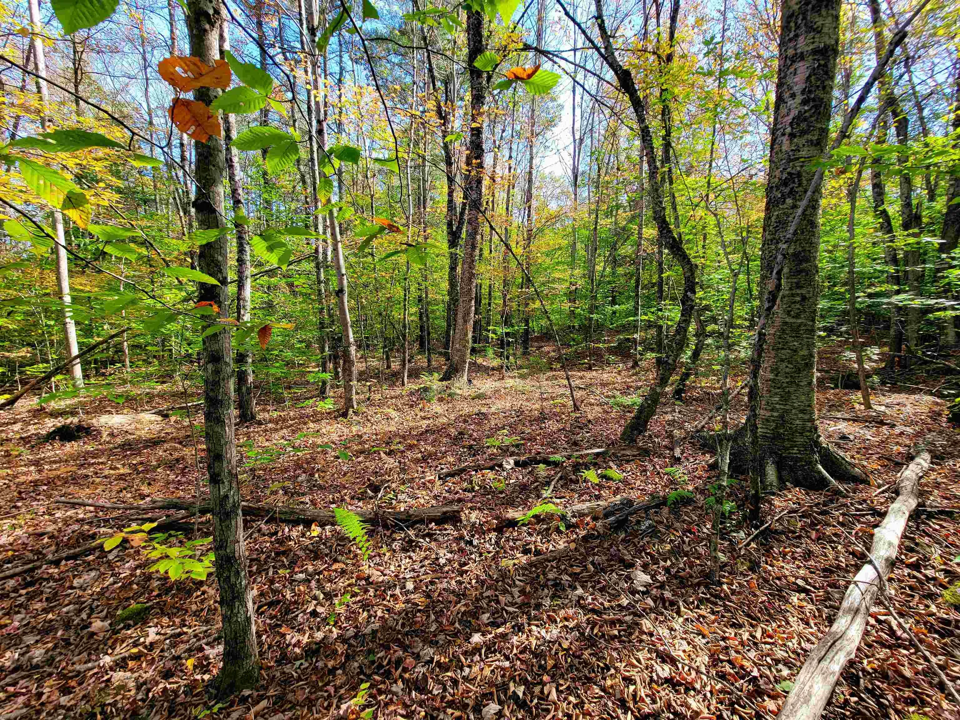 200 Gale Road Gilmanton NH 03237