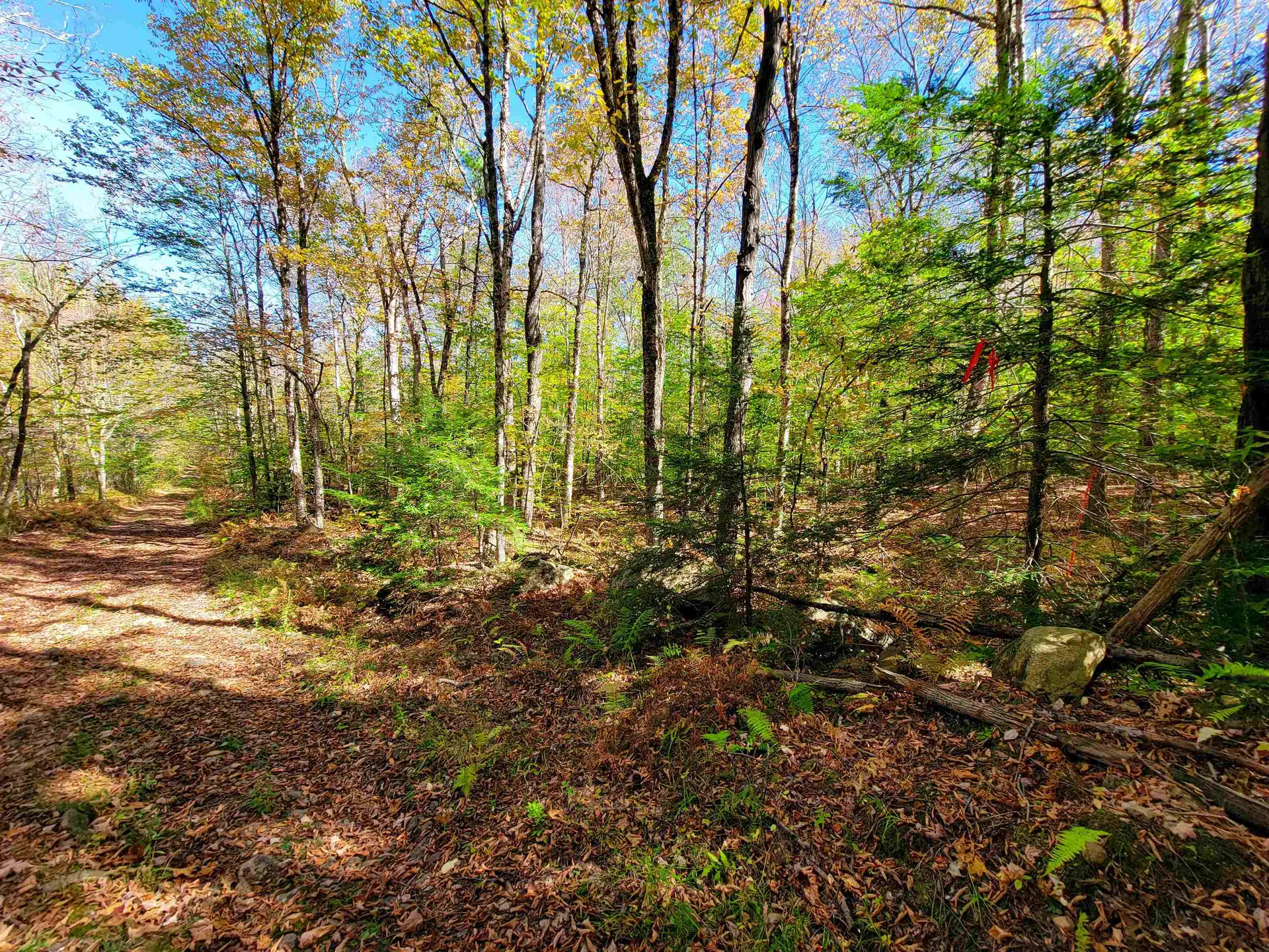 200 Gale Road Gilmanton NH 03237