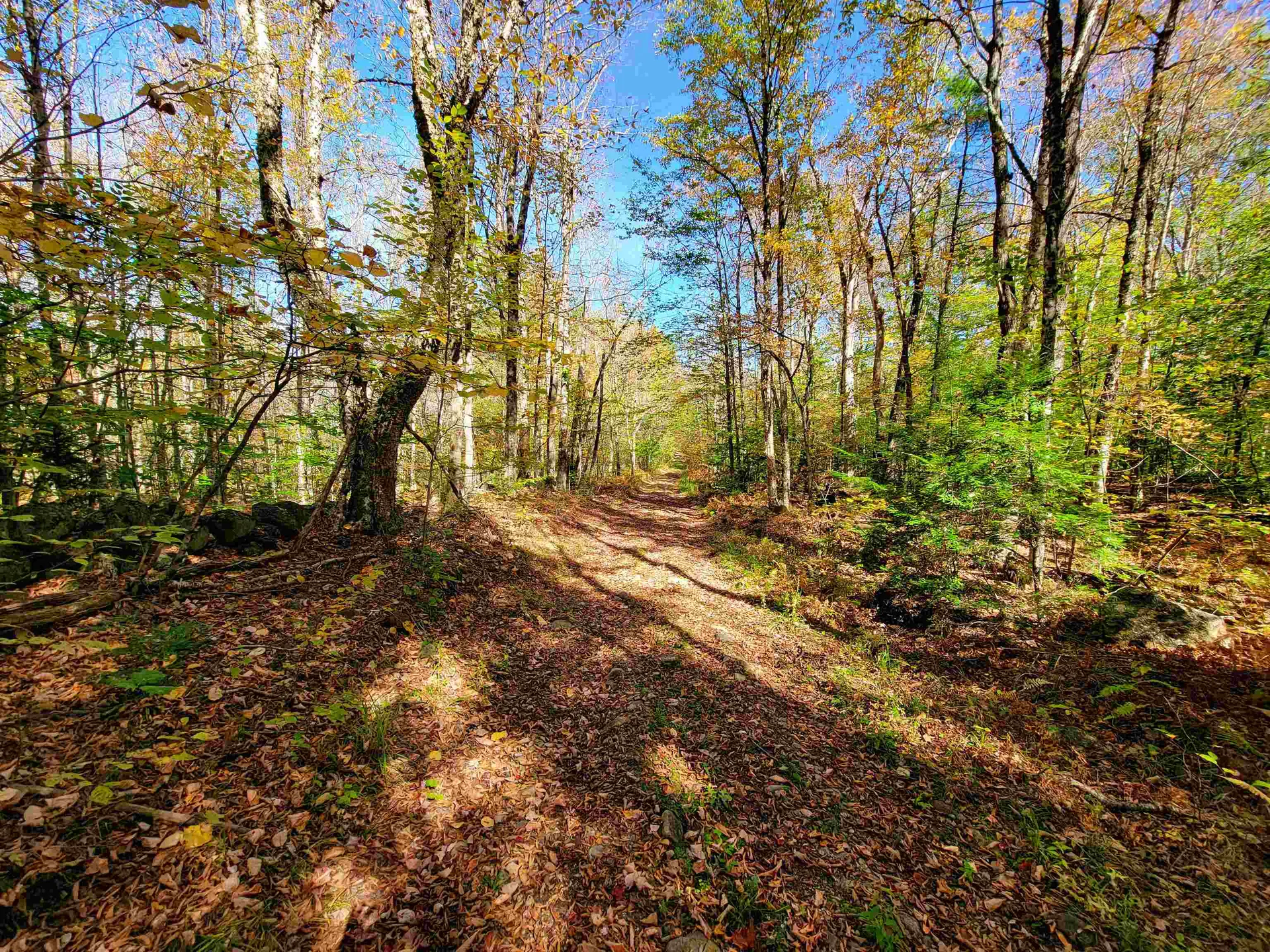 200 Gale Road Gilmanton NH 03237