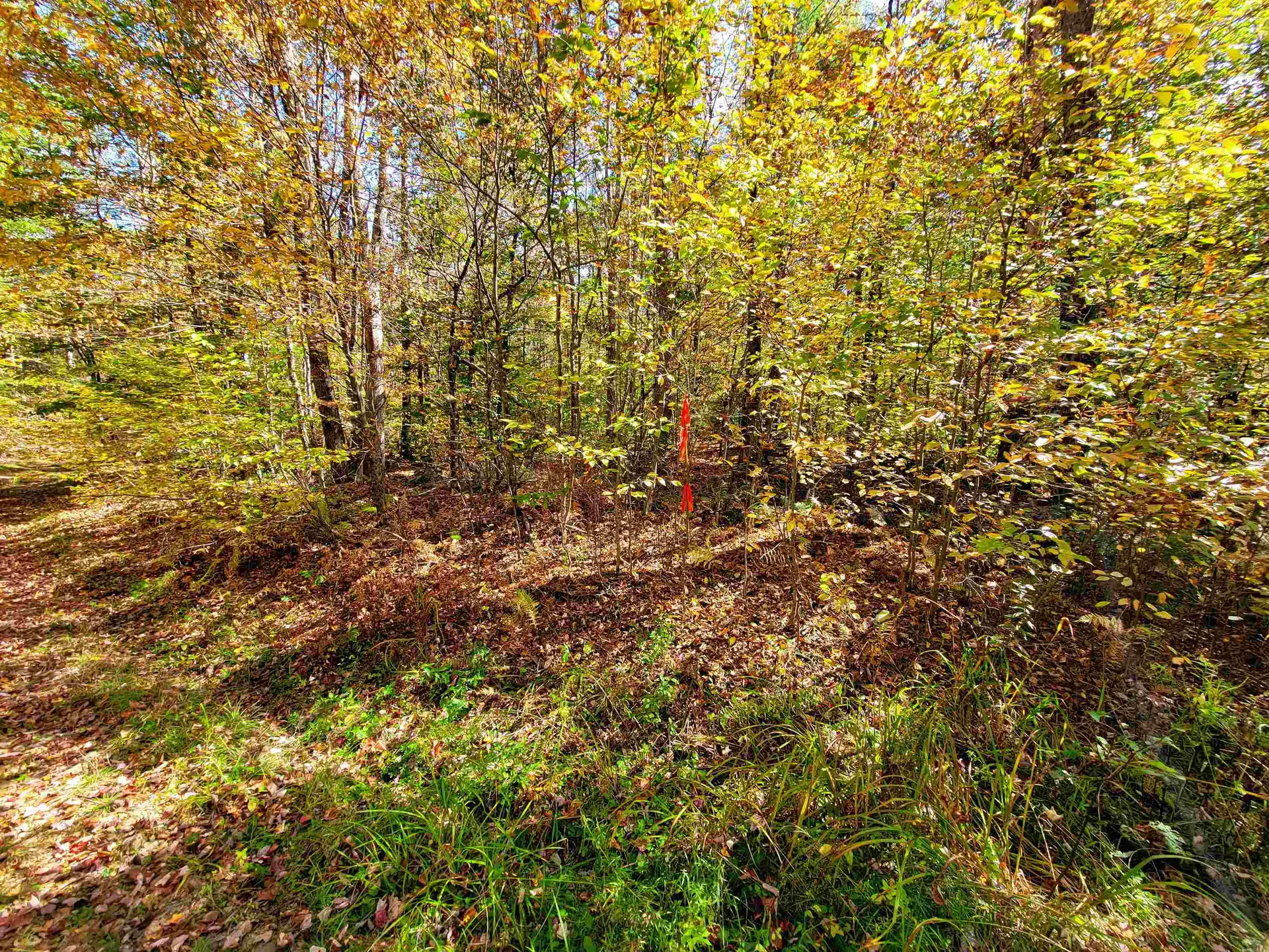 200 Gale Road Gilmanton NH 03237