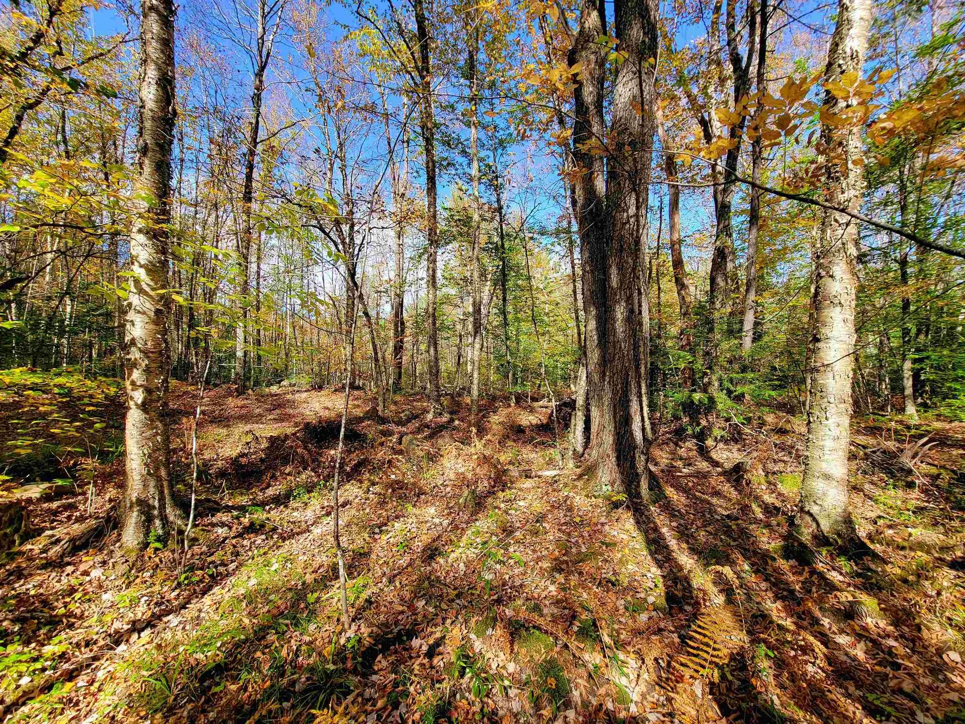 200 Gale Road Gilmanton NH 03237