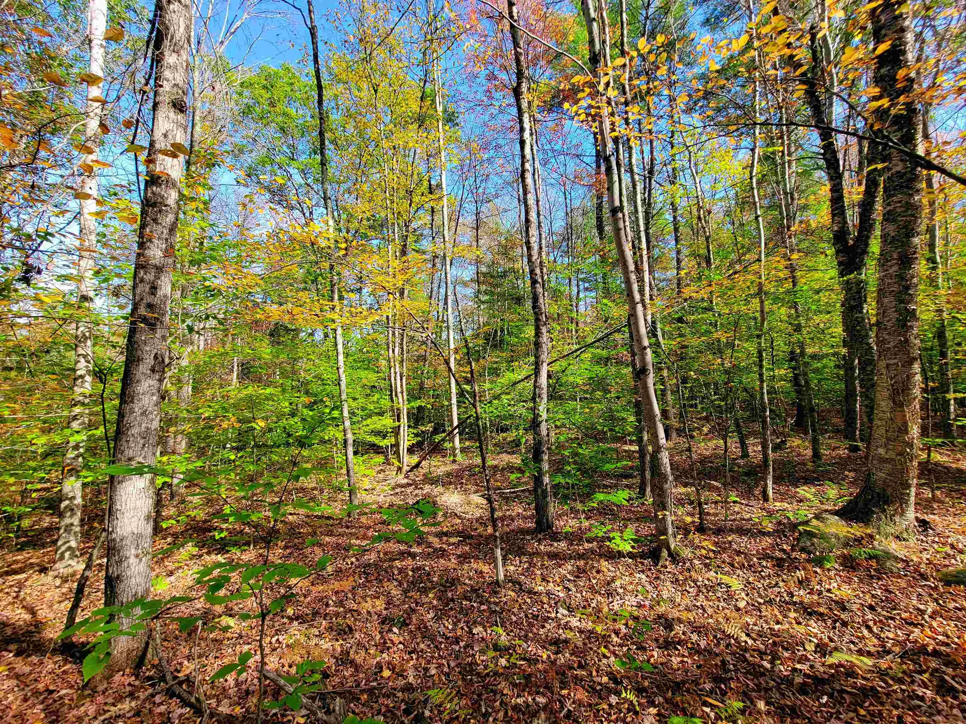 200 Gale Road Gilmanton NH 03237