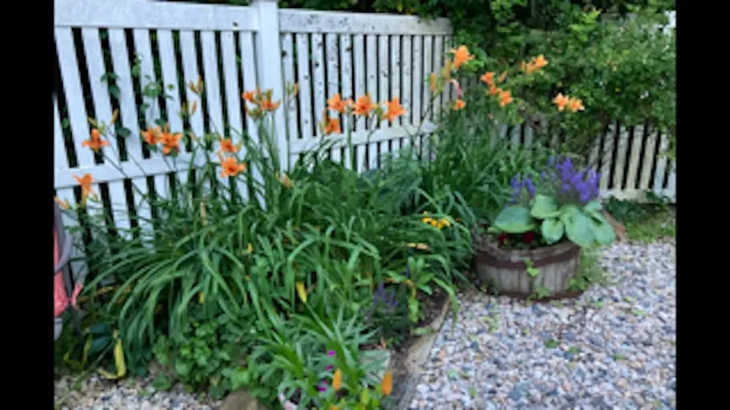 132 Main Street Wakefield NH 03887