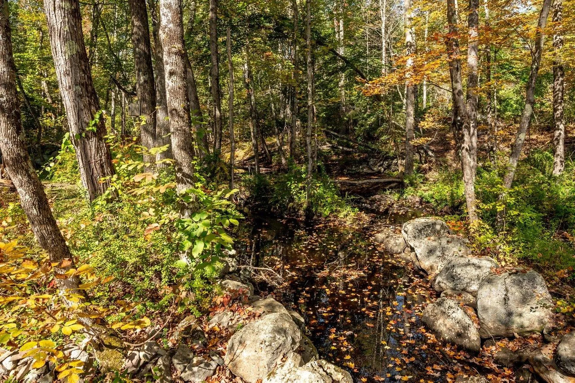 132 Main Street Wakefield NH 03887