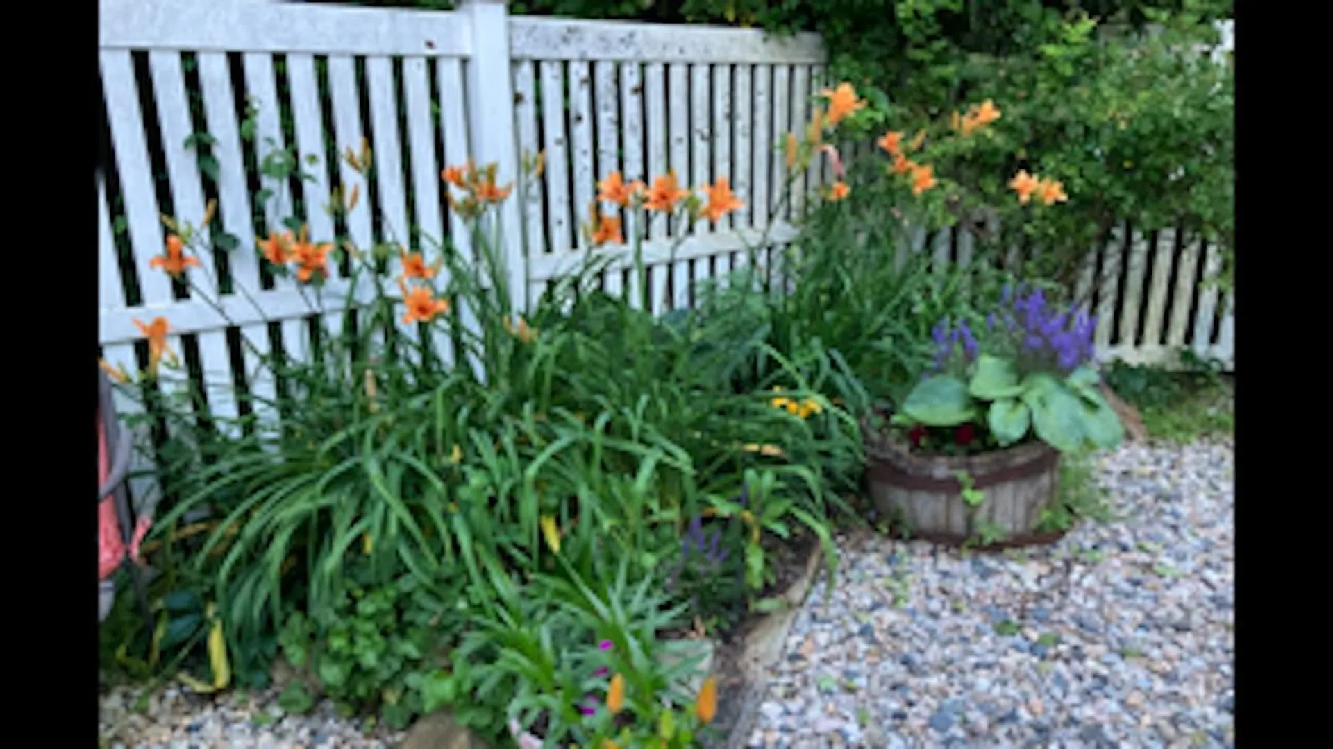 132 Main Street Wakefield NH 03887