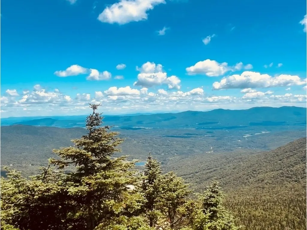 7412 Mountain Road Stowe VT 05672