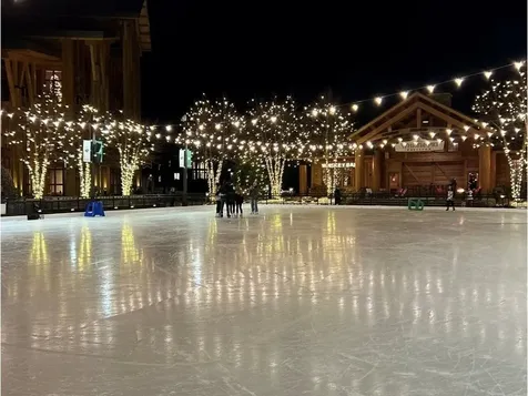 7412 Mountain Road Stowe VT 05672