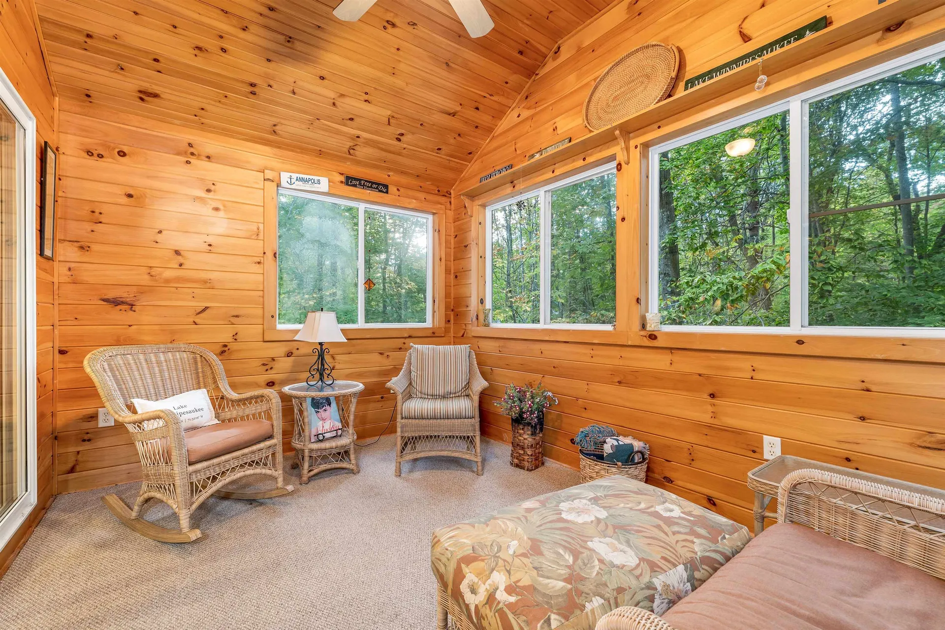 3 Deer Run Wolfeboro NH 03894