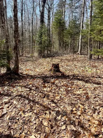 00 Oberdorf Road Stamford VT 05352