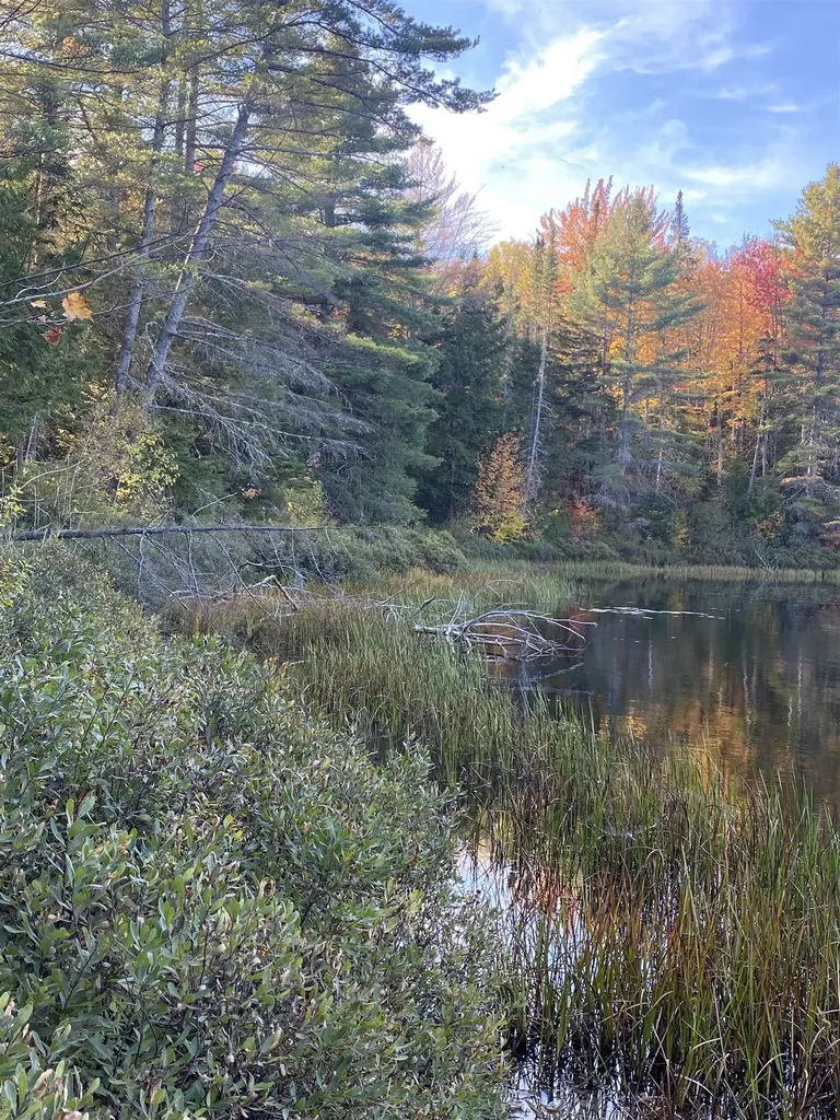 00 Round Pond Lane Newbury VT 05051