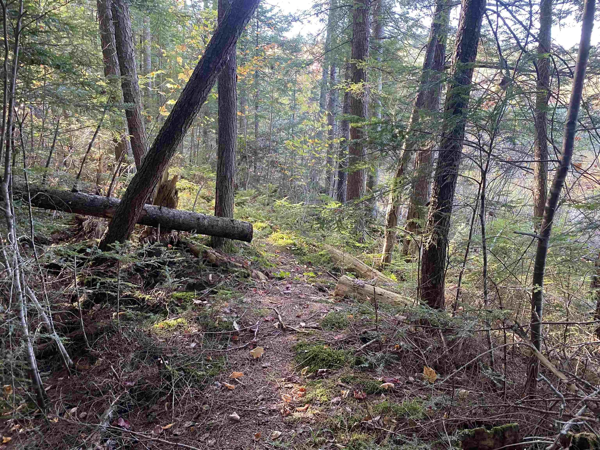 00 Round Pond Lane Newbury VT 05051