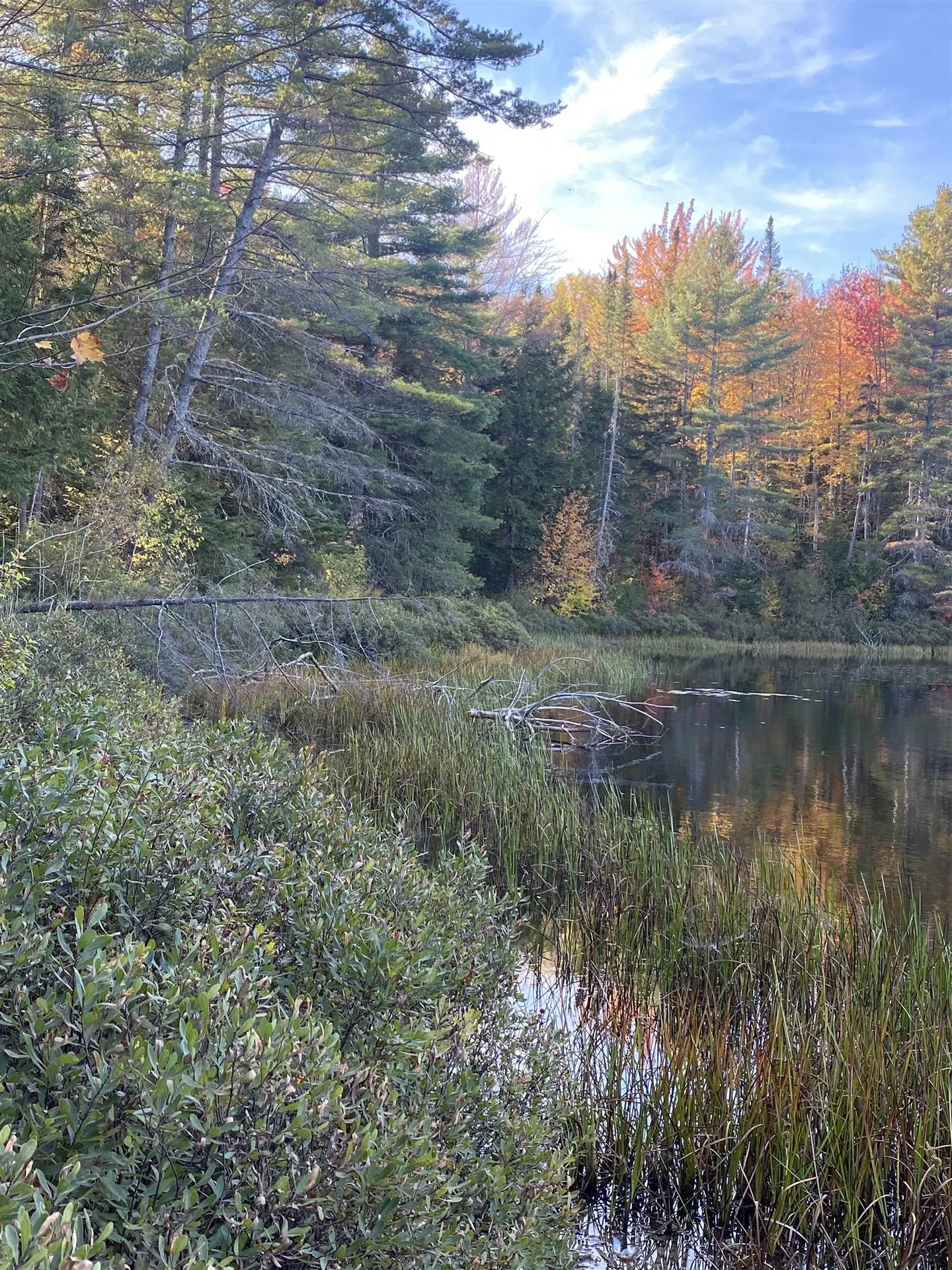 00 Round Pond Lane Newbury VT 05051