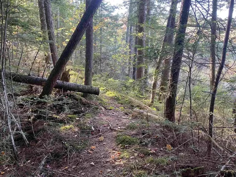 00 Round Pond Lane Newbury VT 05051