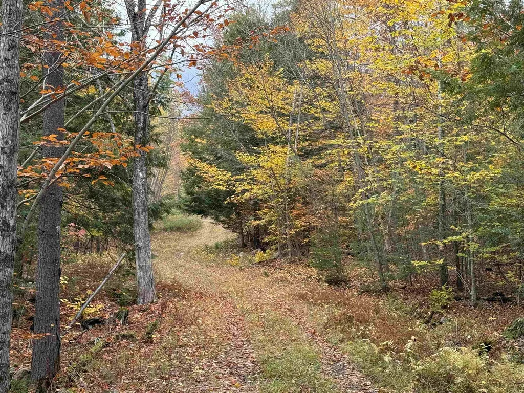 Lots 1 & 2 Hall Road Bristol NH 03222
