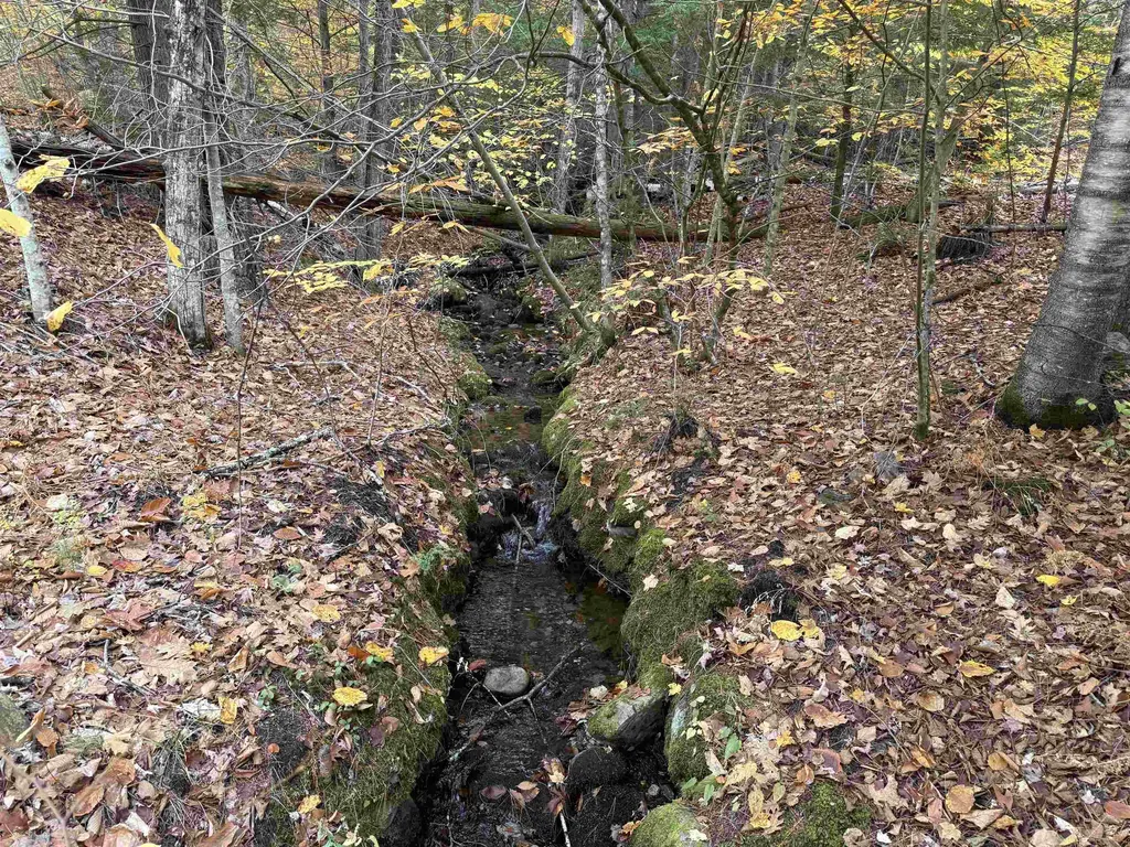 Lots 1 & 2 Hall Road Bristol NH 03222