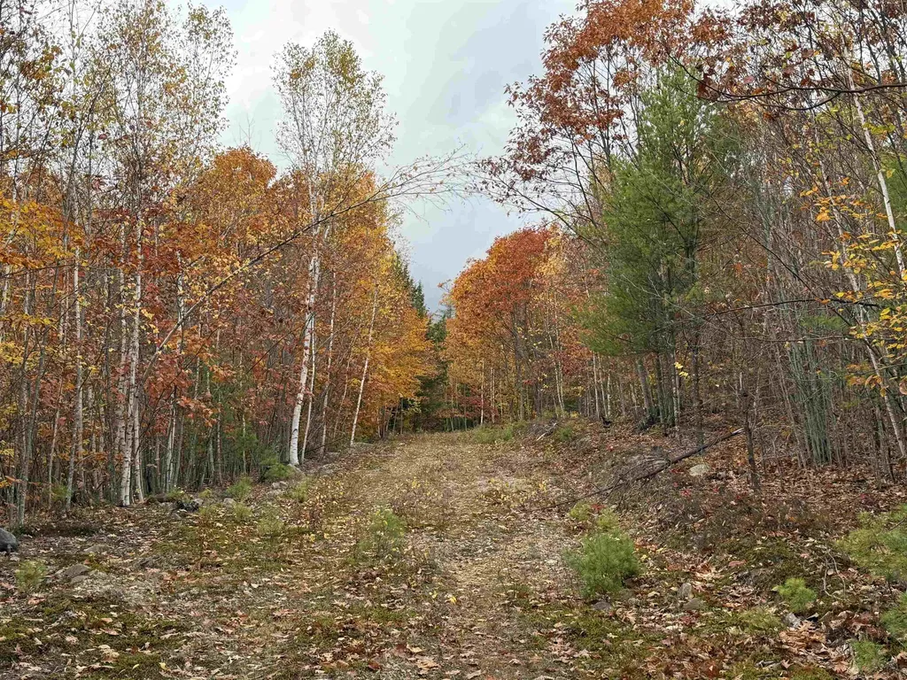 Lots 1 & 2 Hall Road Bristol NH 03222