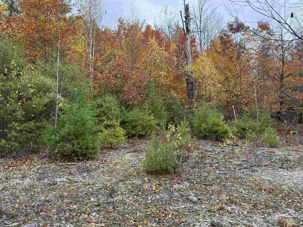 Lots 1 & 2 Hall Road Bristol NH 03222