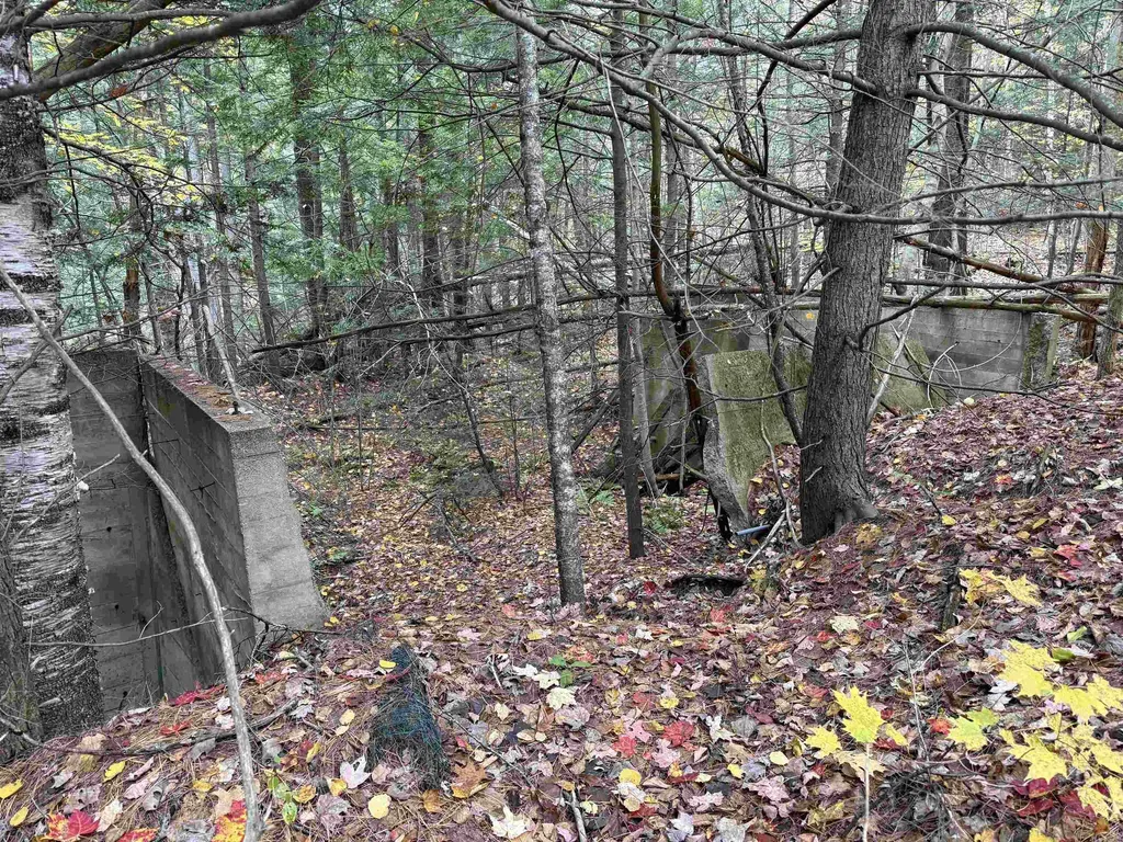 Lots 1 & 2 Hall Road Bristol NH 03222