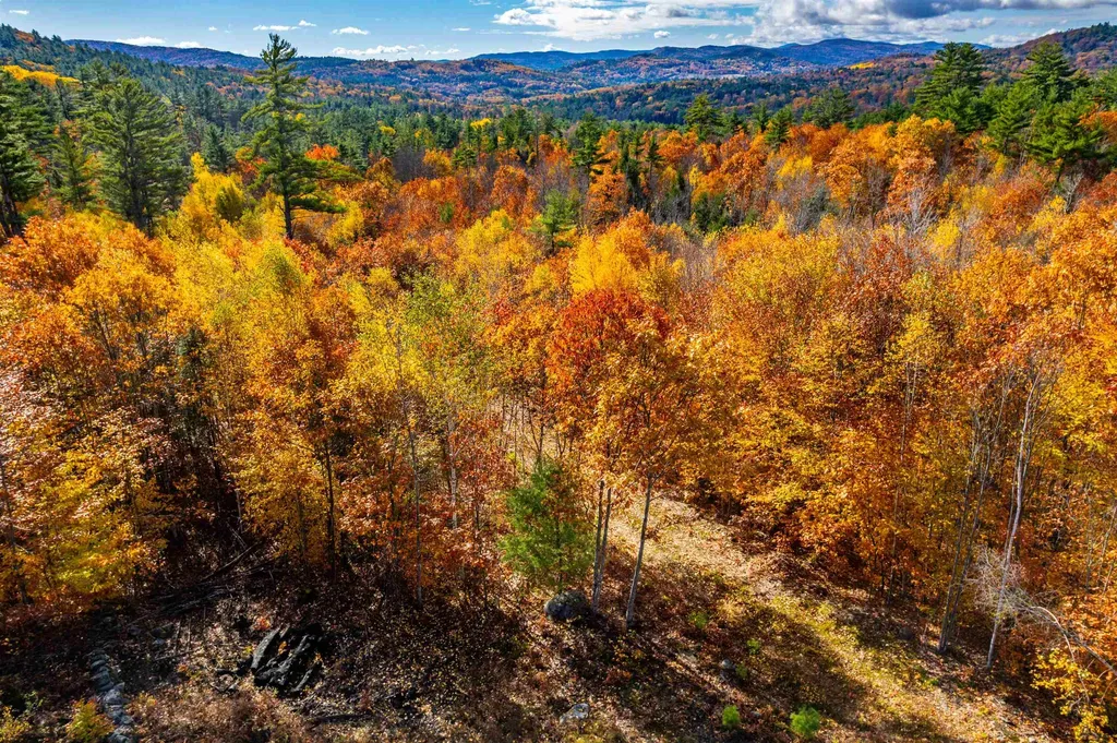 Lots 1 & 2 Hall Road Bristol NH 03222