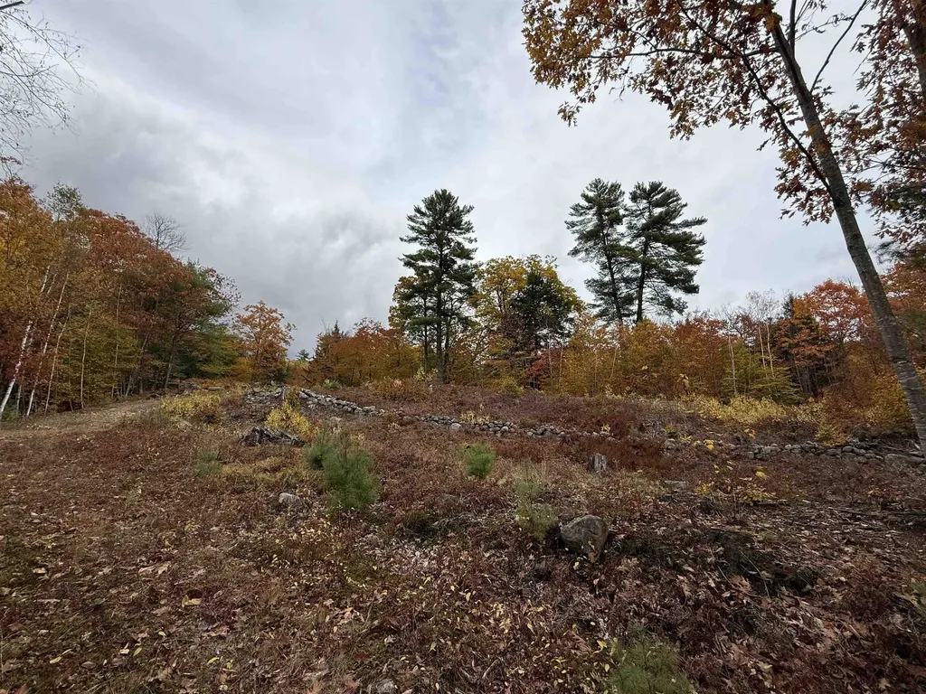 Lots 1 & 2 Hall Road Bristol NH 03222