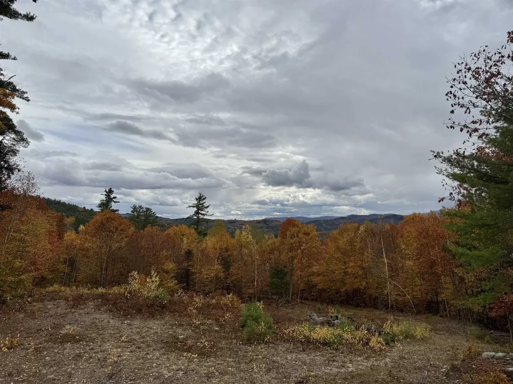 Lots 1 & 2 Hall Road Bristol NH 03222