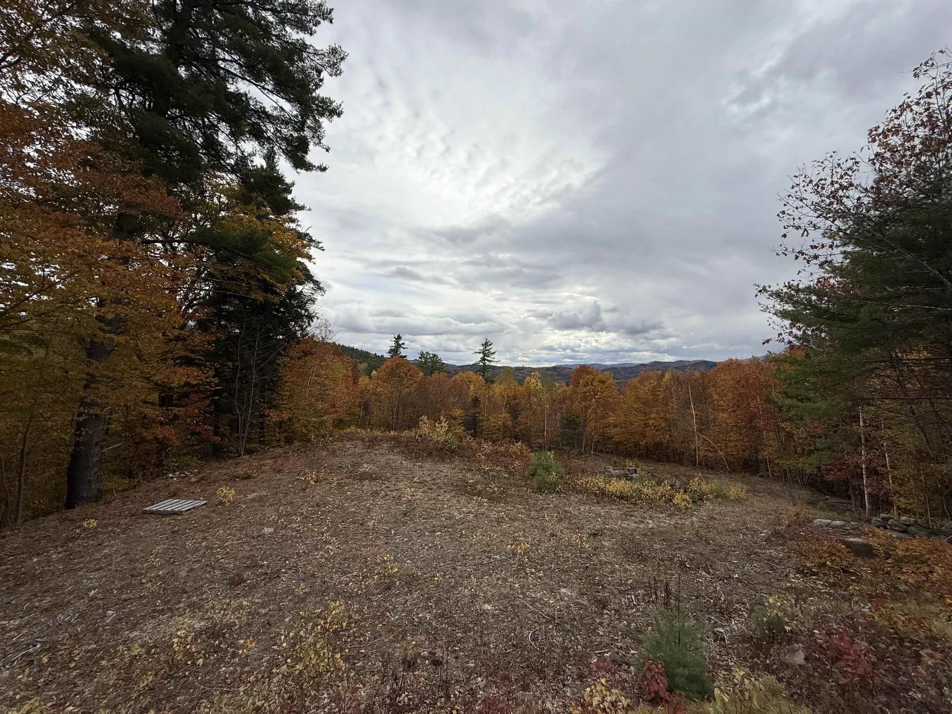 Lots 1 & 2 Hall Road Bristol NH 03222