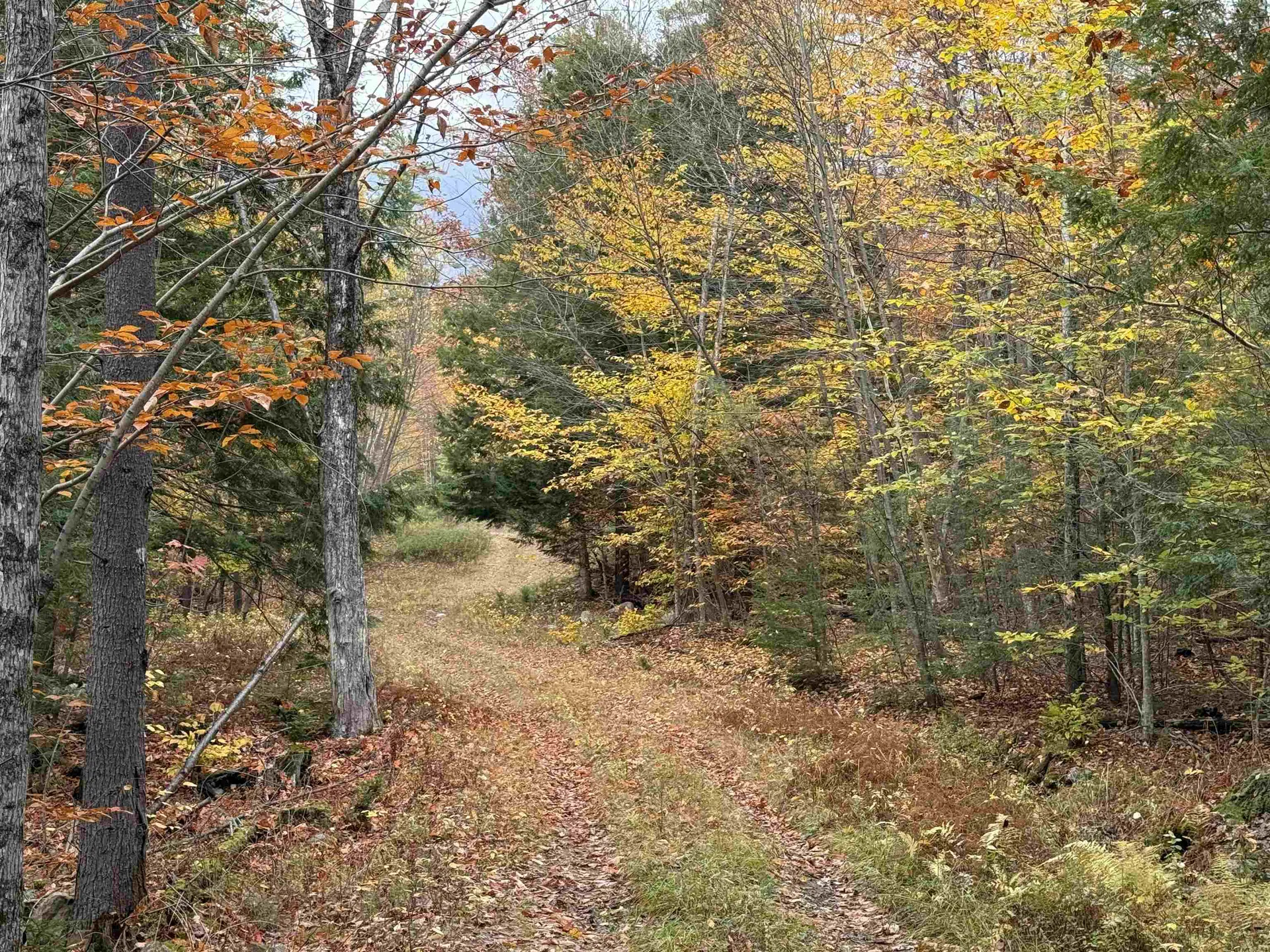 Lots 1 & 2 Hall Road Bristol NH 03222