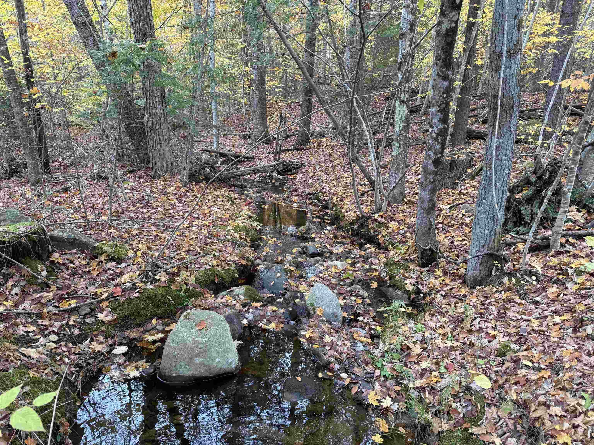 Lots 1 & 2 Hall Road Bristol NH 03222