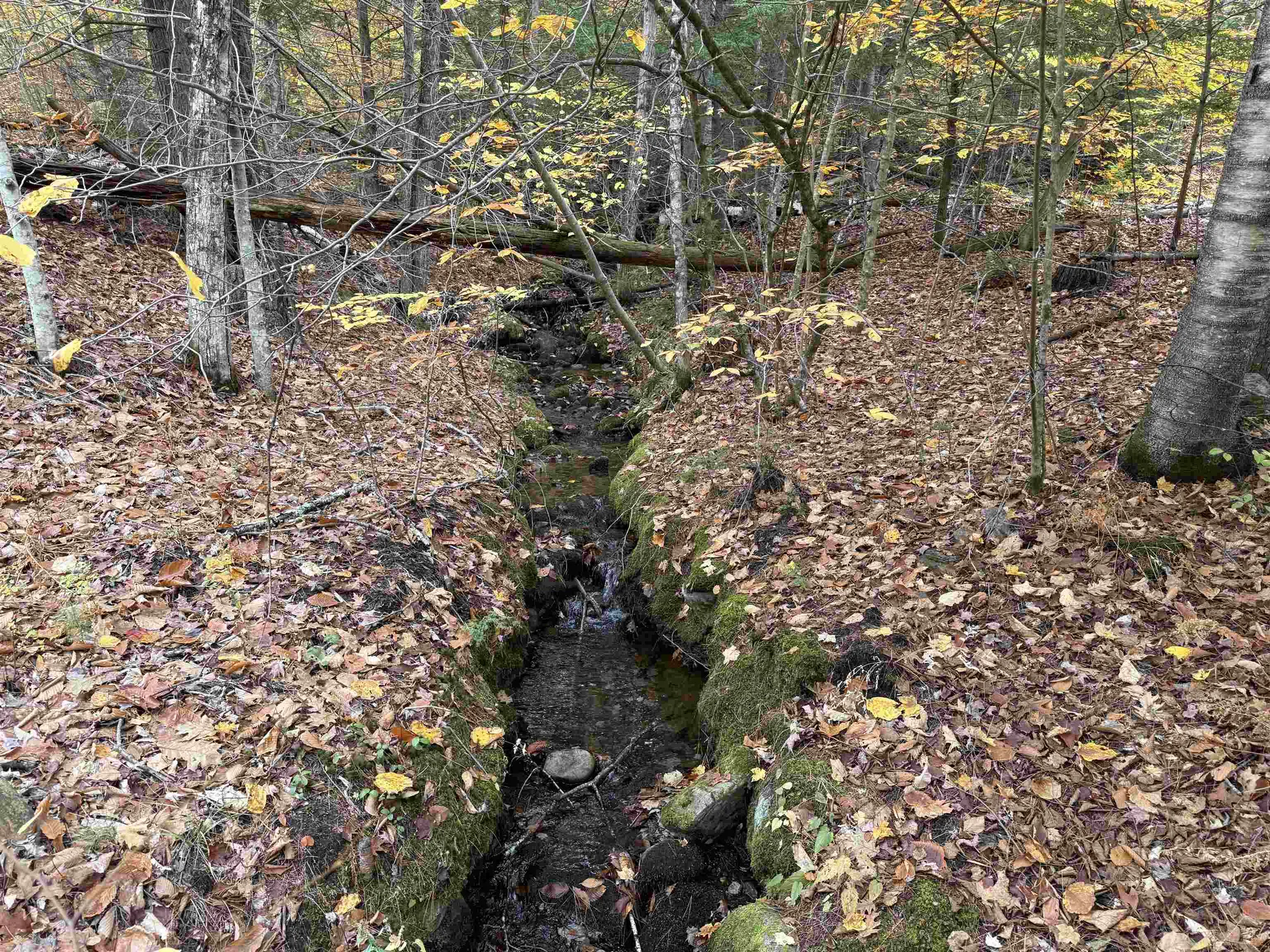 Lots 1 & 2 Hall Road Bristol NH 03222