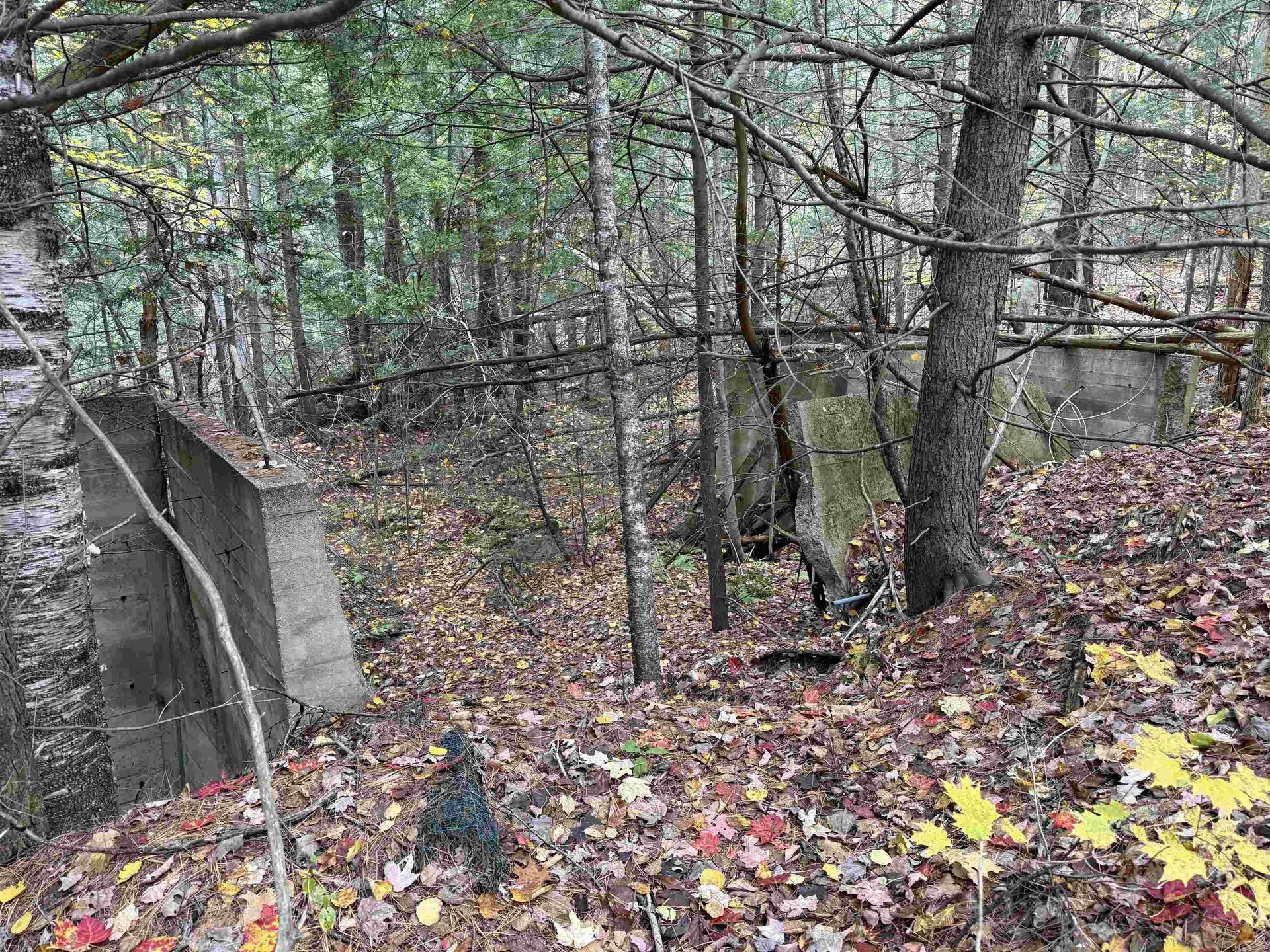 Lots 1 & 2 Hall Road Bristol NH 03222