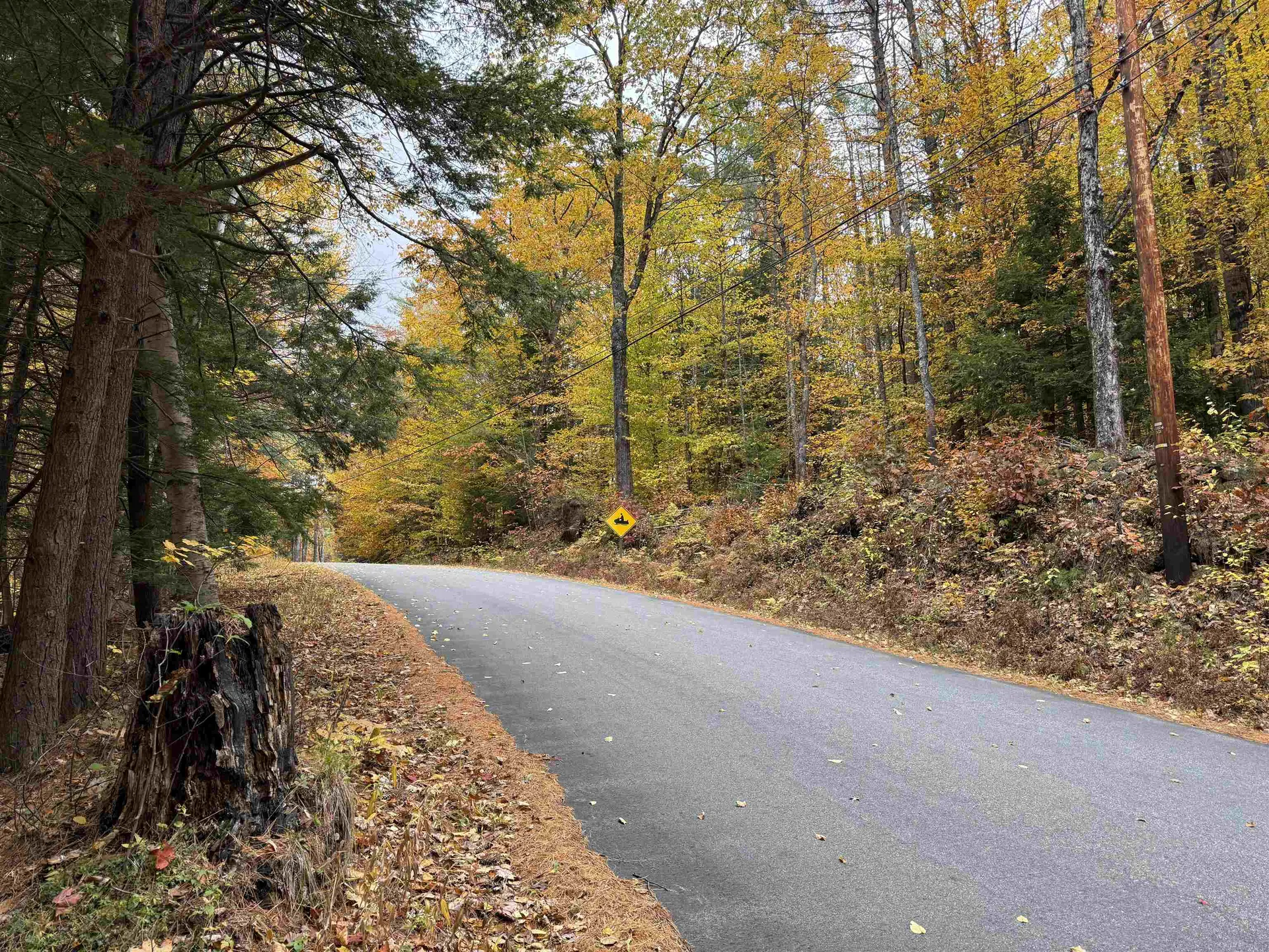 Lots 1 & 2 Hall Road Bristol NH 03222