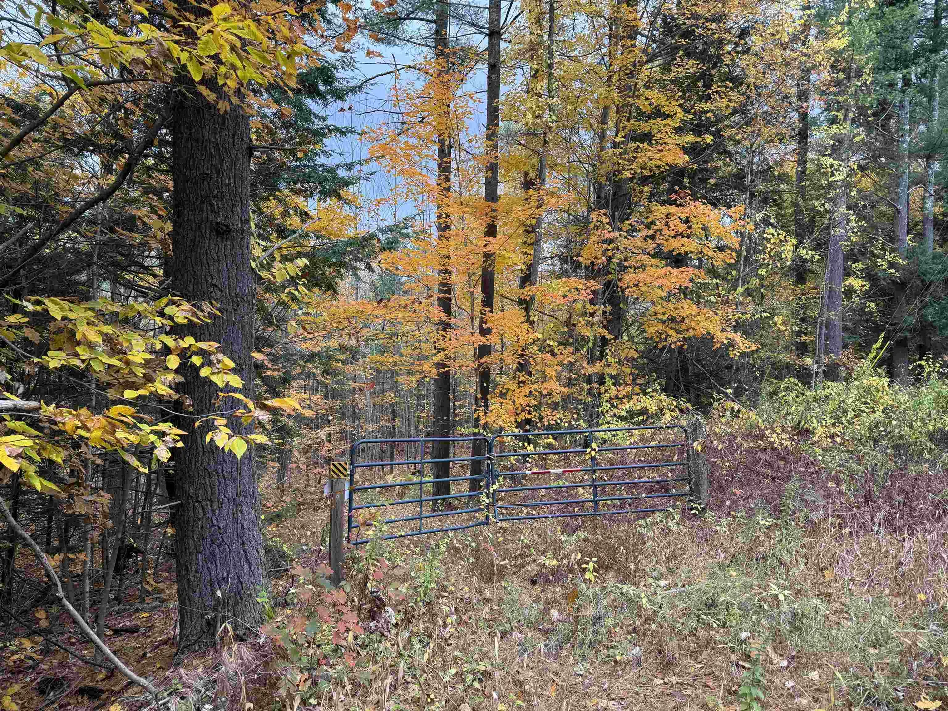 Lots 1 & 2 Hall Road Bristol NH 03222